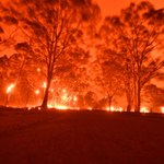Megasusze spalą Australię? Czarne prognozy naukowców