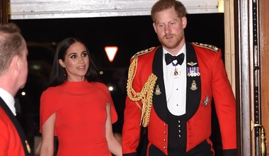 Meghan i Harry nie napracowali się w swojej fundacji. Wymiar godzin zaskakuje nie mniej niż pensje pracowników!