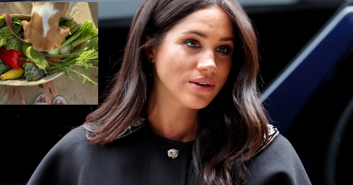 Meghan Markle, fot. https://www.instagram.com/aseverofficial/ /Getty Images