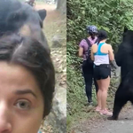 ​Meksyk: Atak niedźwiedzia zakończony... selfie