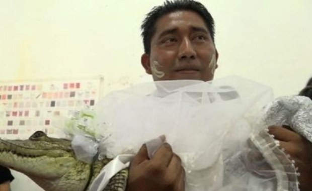 Meksyk: Burmistrz miasteczka poślubił aligatora