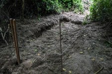 Meksyk: Odkryto ponad trzy tysiące grobów