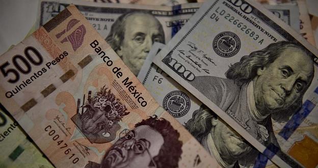 Meksykańskie peso drastycznie traci do dolara /AFP