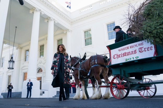 Melania Trump przy choince dostarczonej do Białego Domu /JIM LO SCALZO /PAP/EPA