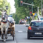 Miasto w Polsce.