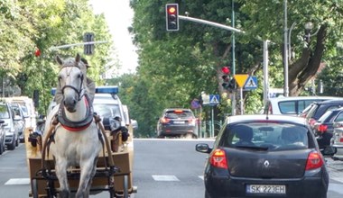 Meleksy zamiast koni w Zakopanem? Ostra reakcja urzędników i dorożkarzy