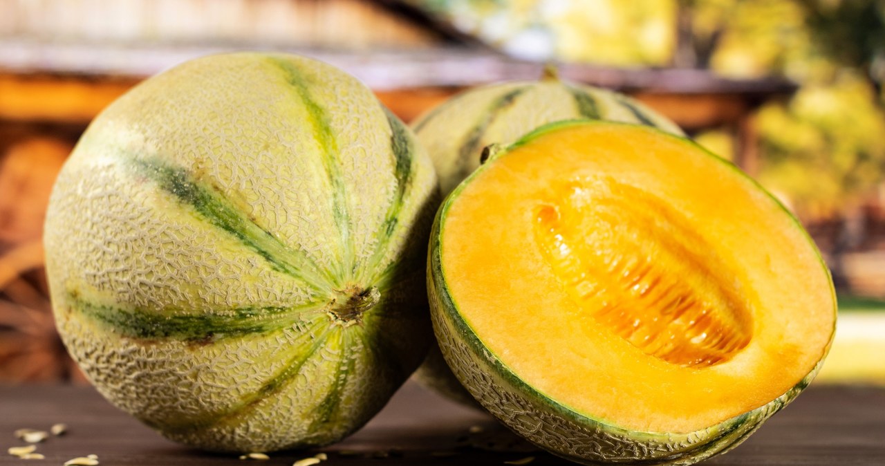 Melon kantalupa /katerynabibro /123RF/PICSEL