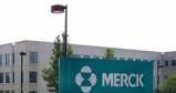 Merck ma problemy, ale nie tylko on... /AFP