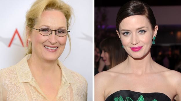 Meryl Streep i Emily Blunt znów zagrają w jednym filmie. /Getty Images/Flash Press Media