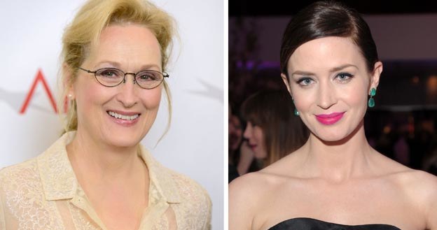 Meryl Streep i Emily Blunt znów zagrają w jednym filmie. /Getty Images/Flash Press Media