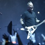 Metallica i inne zespoły wykorzystują psy wykrywające COVID-19 na koncertach