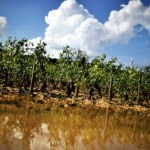 Meteorolodzy ostrzegają: Dramatyczna w skutkach zmienna pogoda będzie dotykała Francję