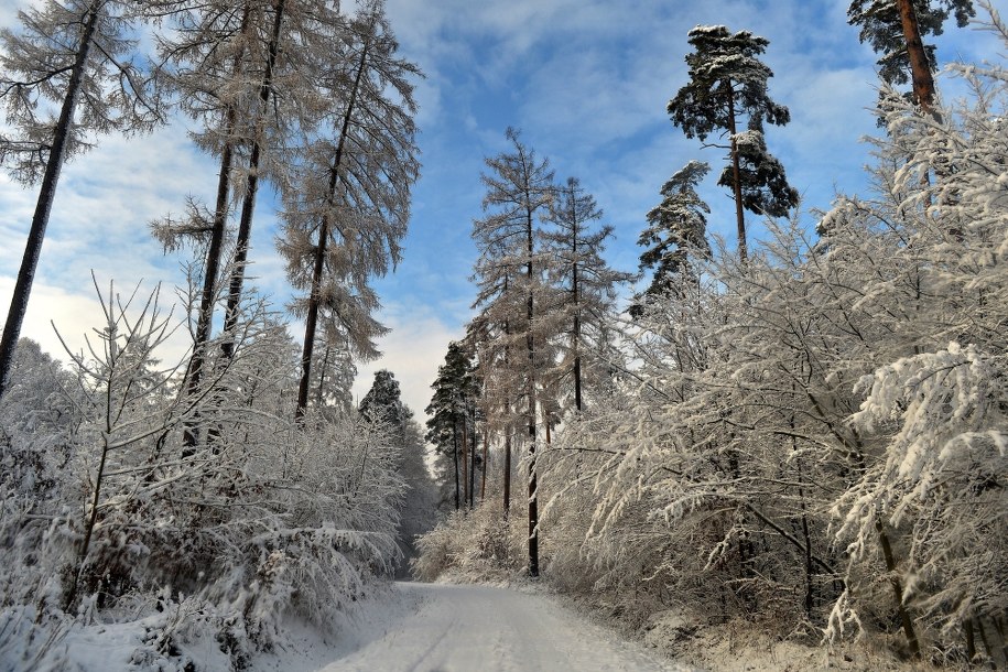 Meteorolodzy ostrzegają przed silnym wiatrem i lawinami /Darek Delmanowicz /PAP