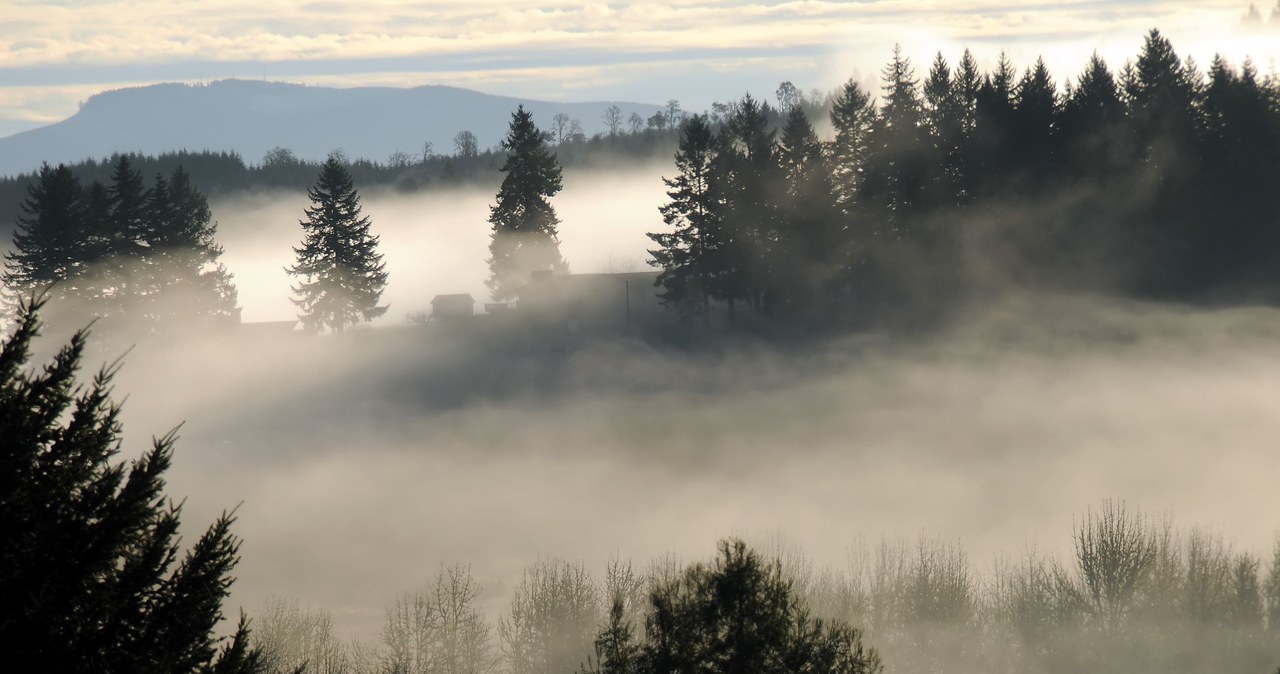 Meteorolodzy przewidują kolejne załamanie pogody /123RF/PICSEL