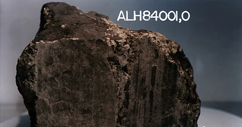 Meteoryt ALH84001 - bohater dyskusji i zdaniem części naukowców dowód życia na Marsie /Uniwersytet Stanforda /materiały prasowe