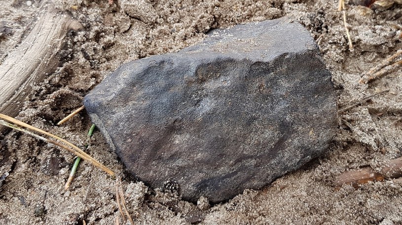 Meteoryt odkryty w Wielkopolsce /wileyonlinelibrary.com /materiały prasowe