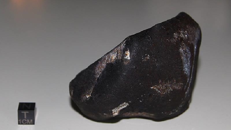 Meteoryt z miejscowości Broek in Waterland /materiały prasowe