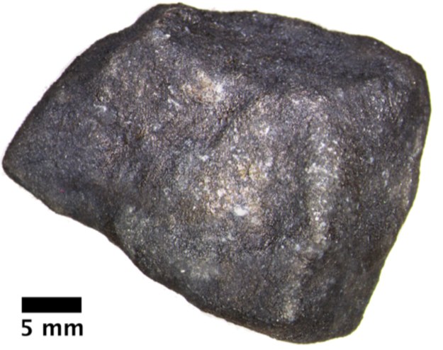 Meteoryt znaleziony na jeziorze Strawberry koło Hamburga w Michigan /(c) Field Museum /Materiały prasowe