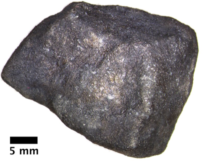 Meteorite found on Lake Strawberry near Hamburg in Michigan / (c) Field Museum / Press materials