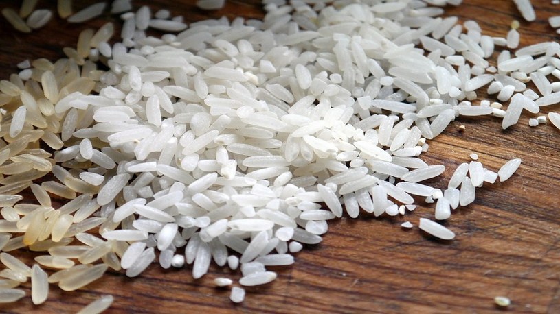 Metoda edycji genów CRISPR-Cas9 zwiększyła polony upraw ryżu o aż 30 procent /Geekweek