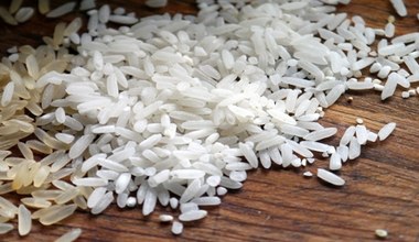 Metoda edycji genów CRISPR-Cas9 zwiększyła polony upraw ryżu o aż 30 procent