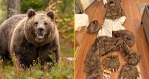 Metoda "na misia". Skazani za nietypowe oszustwo ubezpieczeniowe