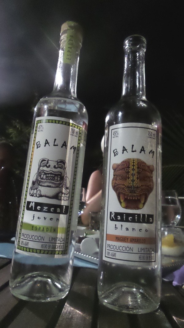 Mezcal i raicilla - agawowi bracia tequili /INTERIA.PL