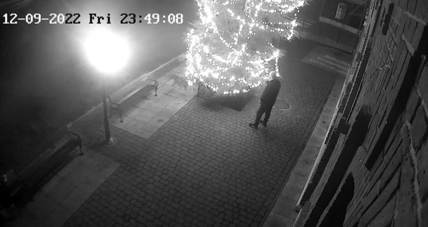 Mężczyzna przy świątecznym drzewku /Policja w Ostrowi Mazwieckiej  /Policja