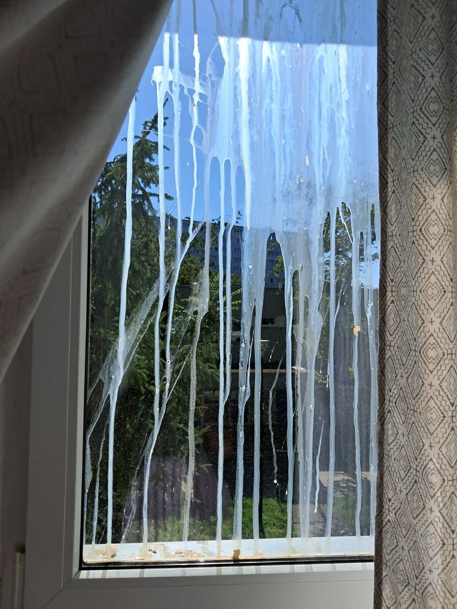 Mężczyzna rzucał jajkami w okna /