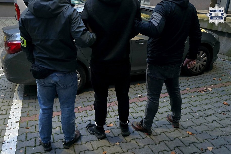 Mężczyzna został tymczasowo aresztowany /Policja Katowice  /