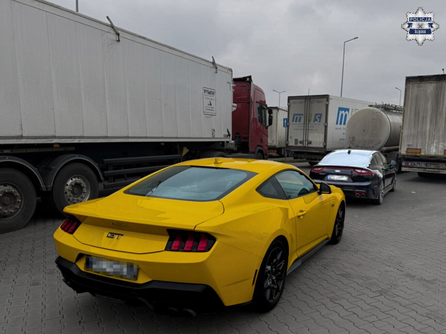 Mężczyzna został ukarany mandatem i punktami /Policja Śląska /