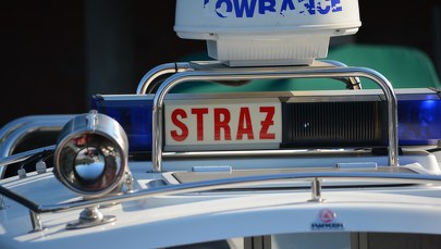 Mężczyznę porwał nurt Wisłoka: Wznowiono poszukiwania