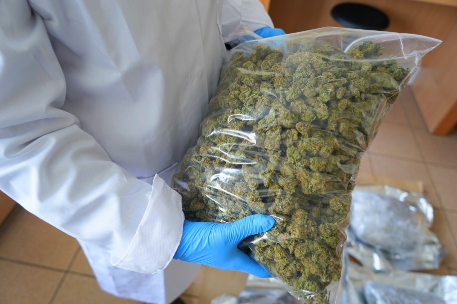 Mężczyźni wieźli samochodem 6 kg marihuany /Policja Włocławek /Policja