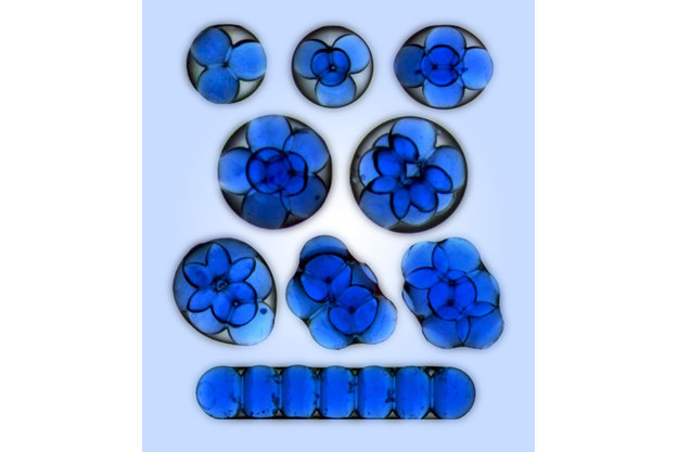 Mezoatomy (struktury uformowane przez mikrokrople wody uwięzione w kropli oleju). Źródło: IChF PAN /RMF24