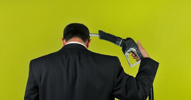 MF chce zawiesić wsparcie dla biopaliw /&copy;123RF/PICSEL