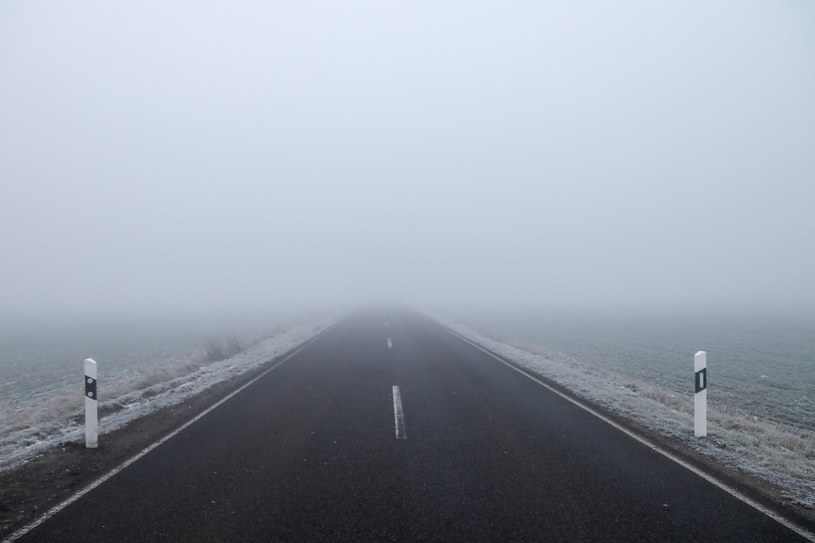 Mgła a przepisy drogowe. Jak zachować się podczas mgły? /JAN WOITAS /AFP