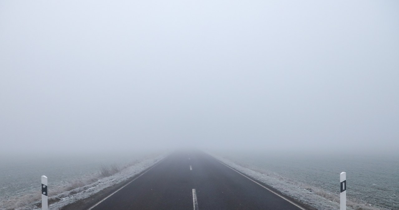 Mgła a przepisy drogowe. Jak zachować się podczas mgły? /JAN WOITAS /AFP