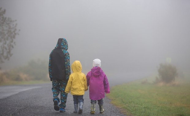 ​Mgła przykryje niemal całą Polskę. IMGW wydał ostrzeżenie