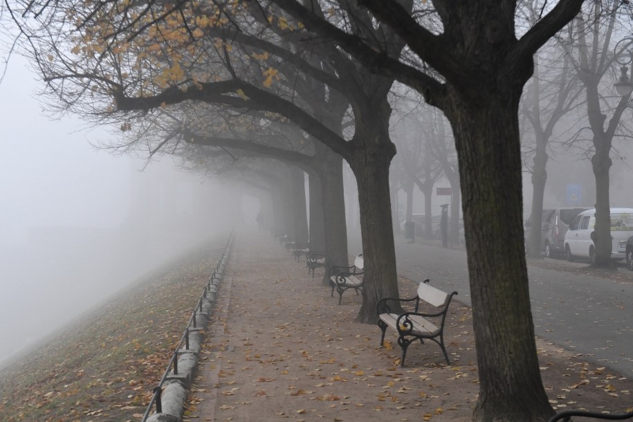 Mgła spowija Szczecin / 	Marcin Bielecki    /PAP