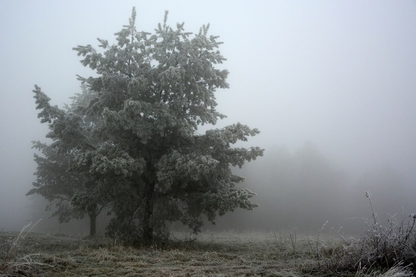 Mgła, zdjęcie ilustracyjne /Wojciech Zatwarnicki /Reporter