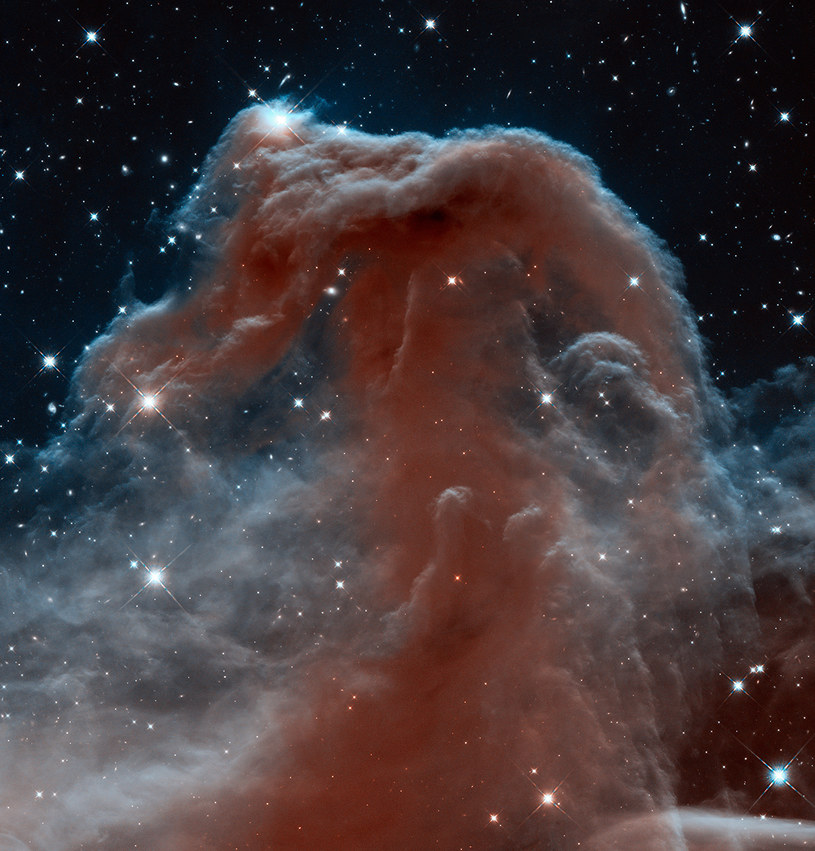 Mgławica Koński Łeb, jeden z najbarwniejszych obszarów nocnego nieba. /NASA, ESA, and the Hubble Heritage Team (STScI/AURA) /NASA