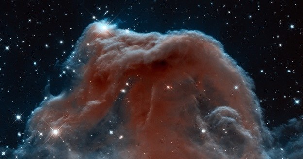 Mgławica Koński Łeb wygląda imponująco /NASA