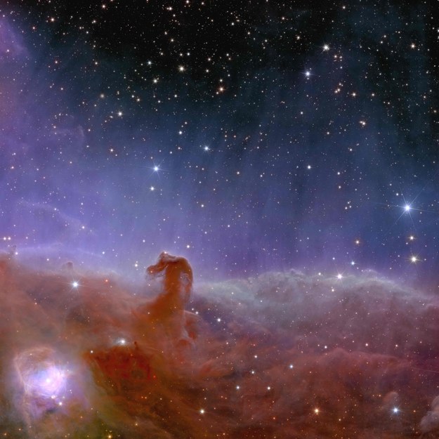Horsehead Nebula /Image: European Space Agency/
