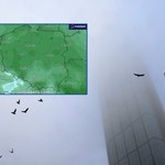"Mglisto rozpoczyna się kolejny tydzień". To jednak tylko początek