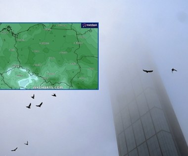 "Mglisto rozpoczyna się kolejny tydzień". To jednak tylko początek