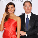 "MIA": Michael Weatherly i Cote de Pablo znowu razem na ekranie?