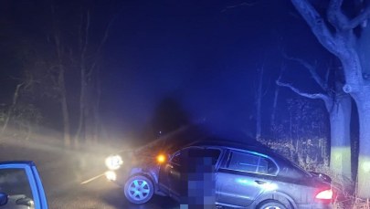 Miał prawie 4 promile. Kierowca z zakazem prowadzenia wpadł do rowu