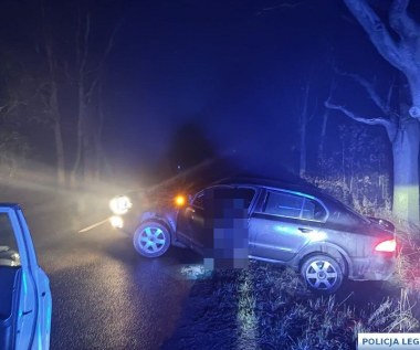 Miał prawie 4 promile. Kierowca z zakazem prowadzenia wpadł do rowu