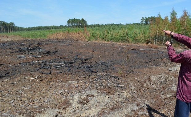 Miał spowodować 14 pożarów lasów. 41-latek zatrzymany