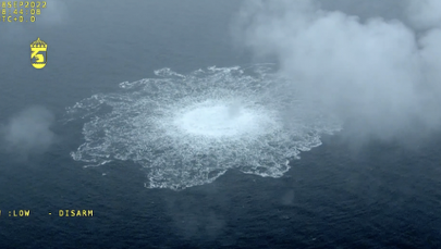 Miał wysadzić Nord Stream. Nowe informacje o zatrzymanym Ukraińcu